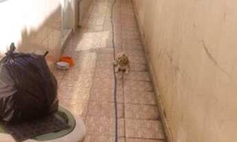 Imagem 7: Casa à venda, 113 m² por R$ 330.000,00 - Parque América - Itu/SP