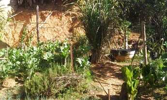 Imagem 7: Ponte Nova - Loteamento/Condomínio - São Geraldo