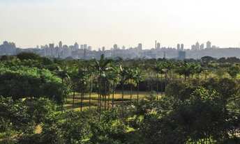 Imagem 2: ALTO DE PINHEIROS