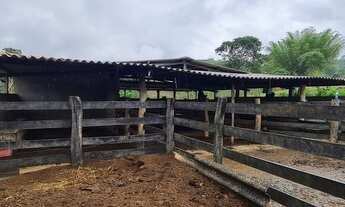 Imagem 3: Próximo a Taguatinga localização privilegiada 1500m de chão chácara 2 alqueires escritura