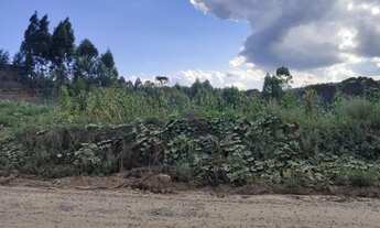 Imagem 2: Terreno para Venda, 54.604,52 m², Rio Negrinho / SC, bairro São Pedro