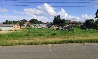 Imagem 6: Terreno para Venda, 6.086,90 m², São Bento do Sul / SC, bairro Rio Negro