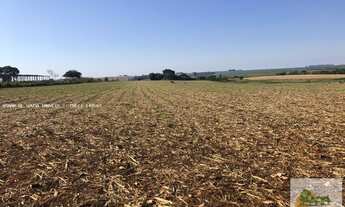 Imagem: Sítio de 12 Alqueires em Tatuí - SP