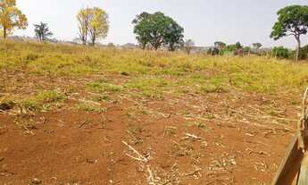 Imagem 7: Vendo chácara no município de itaberai terra boa