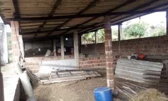 Imagem 4: Vendo Este Terreno