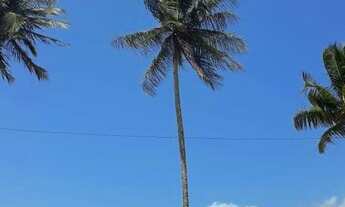 Imagem 4: Alugo Casa Térrea para temporada em São Sebastião,3 quartos, uma suíte, ,pé na areia,10 pe