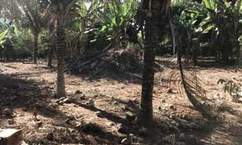 Imagem 4: Terreno à venda, 300 m² por R$ 150.000,00 - Colina Verde - Teixeira de Freitas/BA