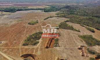 Imagem 6: Fazenda Produtiva Norte de Goiás. > 390 Alq. (1.888 Há