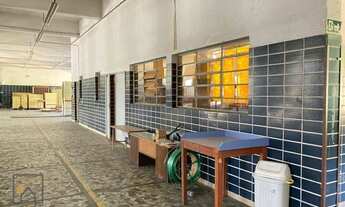 Imagem 3: Galpão para locação