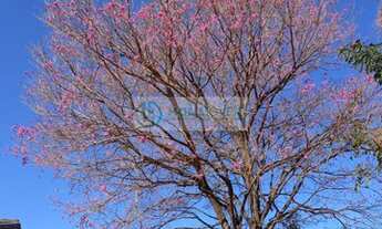 Imagem 4: Casa em Vila Sao Francisco - Bauru, SP