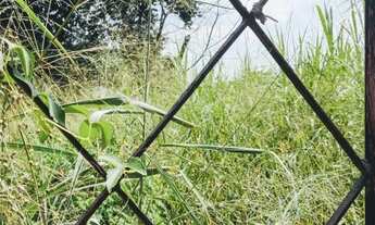 Imagem 6: Vendo ou alugo excelente terreno com 600 metros quadrados em Retiro São Joaquim - Itaboraí