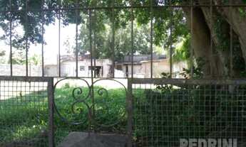 Imagem: PORTO ALEGRE - Terreno Padrão - IPANEMA