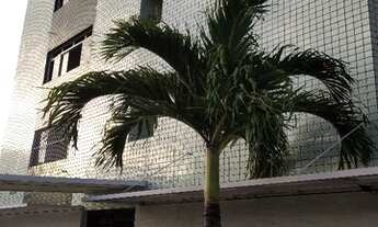 Imagem 2: APARTAMENTO para Venda TAMBAÚ, JOÃO PESSOA