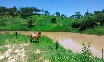 Imagem 2: Fazenda para Venda em Senador Modestino Gonçalves, zona rural, 2 dormitórios, 1 banheiro