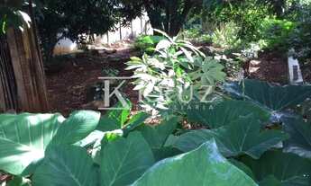 Imagem 5: Venda Terreno Tabajaras