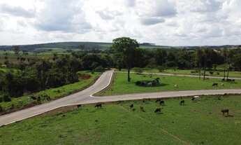 Imagem 6: Lindo bairro para você morar com mais conveniência com a natureza. - Prudente de Morais