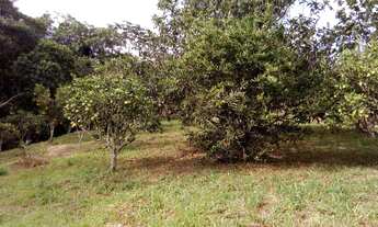 Imagem 3: Sítio para venda com 20.000m Moralogia Mogi das Cruzes/SP