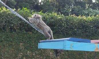 Imagem 2: Chácara com 7 dormitórios à venda, 5000 m² por R$ 1.500.000,00 - Parque Real - Itanhaém/SP