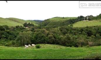 Imagem 4: FAZENDA BAIXA/MEDIA - LEITE/CORTE  FRENTE AO ASFALTO  SILVEIRAS - SP