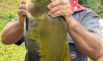 Imagem 6: Chácara próximo Gurupi