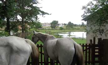 Imagem 5: Linda Chácara completa com tudo!