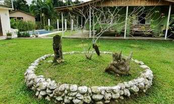 Imagem 4: Chácara à venda no bairro Ponte Alta - Morretes/PR