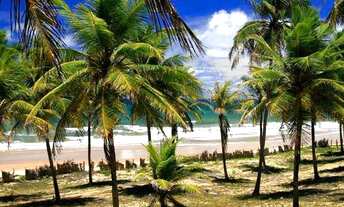 Imagem 6: Terreno/Área em Imbassaí de 4.350 m2 - Mata de São João-Cod: 43