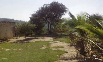 Imagem 4: Lindo sítio de 20.000 mts apenas 1 km dá castelo branco , estuda permuta parcial agende su