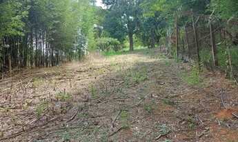 Imagem 2: TERRENO INDUSTRIAL em Cabreúva - SP, Pinhal