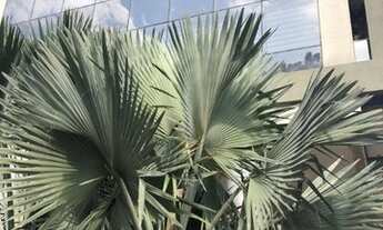 Imagem: Conjunto à venda, 288 m² por R$ 4.700.000,00