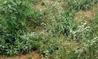 Imagem 3: Area 20 mil Terreno / lote com venda por R$20.000