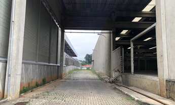 Imagem 5: Galpão à venda Guarulhos / Jardim Fatima/ São Paulo