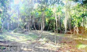 Imagem 5: Área no Prumirim, bem localizada, 80% plana, 105 mil m2