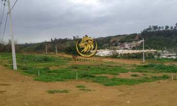 Imagem 5: Terreno para Venda em Juiz de Fora, grama