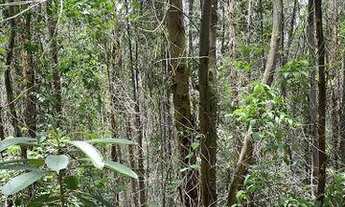 Imagem 3: Terreno à venda, 96000 m² por R$ 340.000,00 - Centro - Pedra Bela/SP