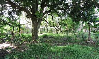 Imagem 3: FLORIANóPOLIS - Terreno Padrão - Rio Tavares