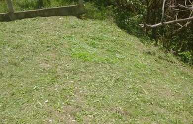 Imagem 7: Grande oportunidade de comprar seu cantinho em meio a natureza