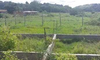 Imagem 3: Terreno grande com alicerce