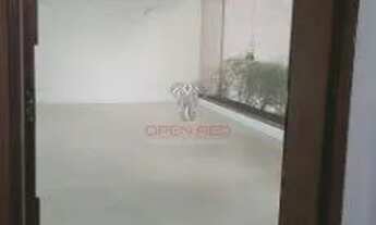 Imagem 2: Sobrado para alugar no bairro Planalto Paulista - São Paulo/SP