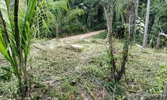 Imagem 4: Excelente terreno para sítio ou investimento