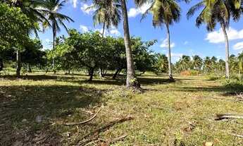 Imagem 3: Terreno no Icaraizinho de Amontada