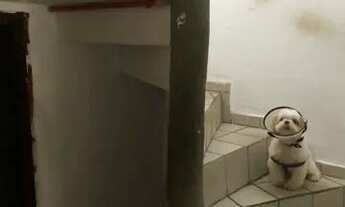 Imagem 3: Casa e Ponto Comercial