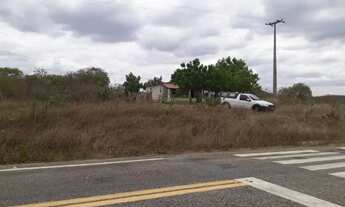 Imagem 3: Fazenda entre Paramoti e General Sampaio - 250ha. Oportunidade!