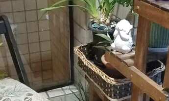 Imagem 5: Apto 1 dormitório na Guilhermina