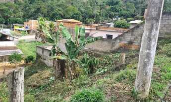 Imagem 3: Lote quinta dis lontras