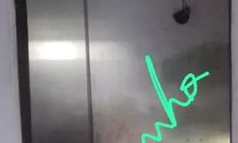 Imagem 3: Aluga-se ou vende-se Casa