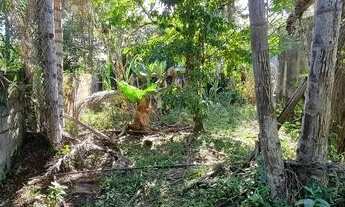 Imagem 5: Chácara a 800 metros da rodovia sendo 3 dormitórios