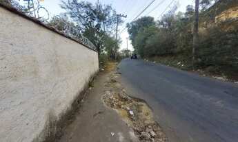 Imagem 3: Terreno 100% PLANO, incrivel potencial