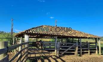 Imagem 6: 2453 - Excelente Fazenda de 155 HA em Itauna MG