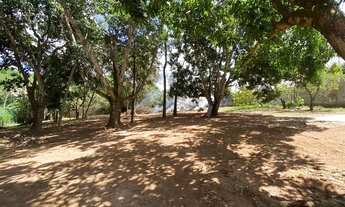 Imagem 3: ALUGO CHÁCARA PRÓXIMO AO CENTRO DE APARECIDA DE GOIÂNIA